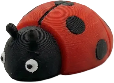 Mimiboo Joaninha